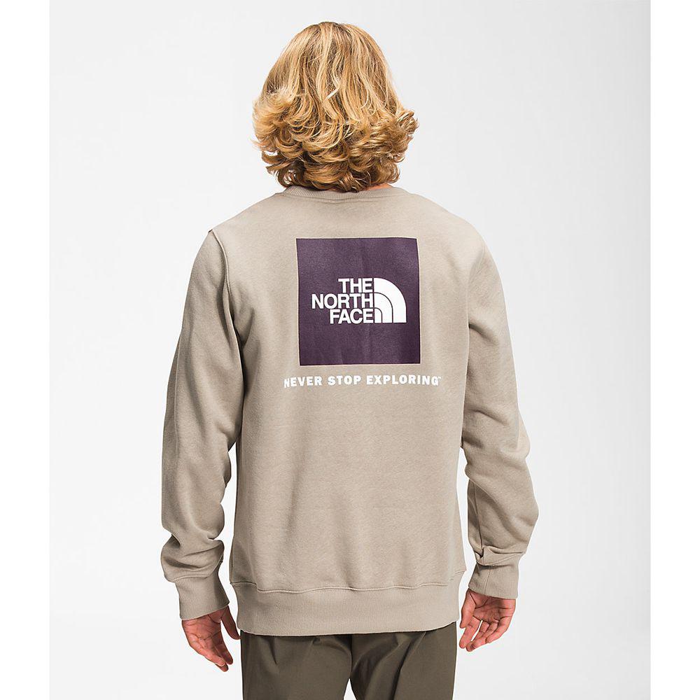 The North Face Box Nse Crew Ανδρικα Φούτερ - Χακί (RNQP58610)